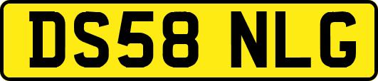 DS58NLG