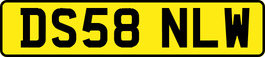 DS58NLW