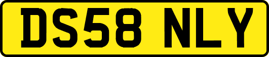 DS58NLY