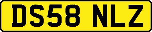DS58NLZ