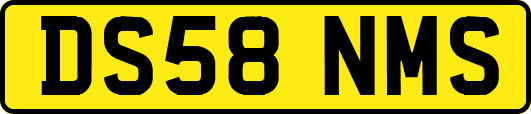 DS58NMS
