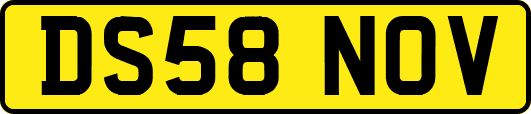 DS58NOV