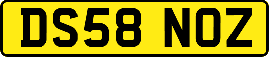 DS58NOZ