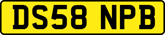 DS58NPB