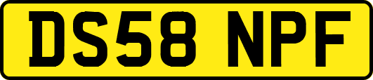 DS58NPF