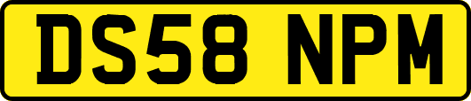 DS58NPM