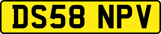DS58NPV