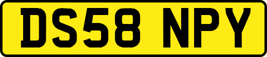 DS58NPY