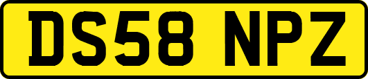 DS58NPZ