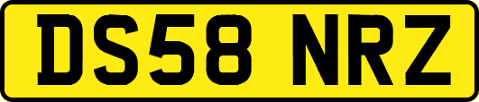 DS58NRZ