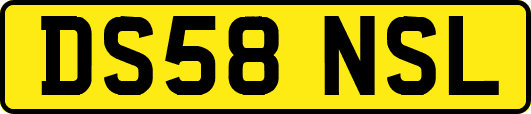 DS58NSL