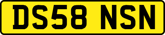 DS58NSN