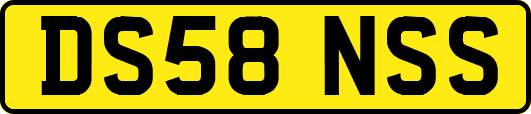 DS58NSS