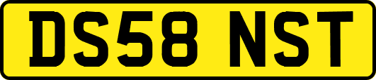 DS58NST