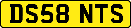 DS58NTS