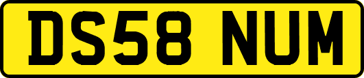 DS58NUM