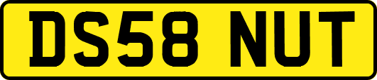 DS58NUT