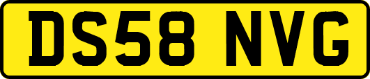 DS58NVG