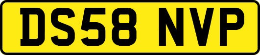 DS58NVP