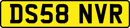 DS58NVR