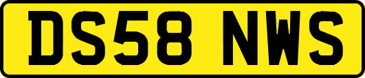 DS58NWS