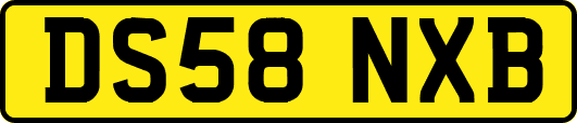 DS58NXB