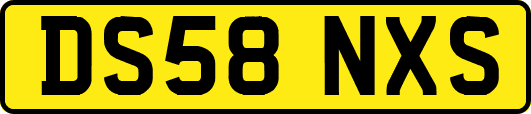 DS58NXS