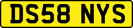 DS58NYS