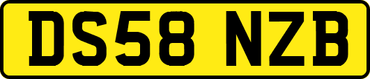 DS58NZB