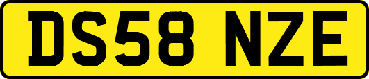 DS58NZE