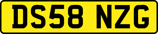 DS58NZG