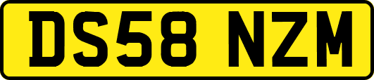 DS58NZM