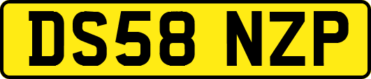 DS58NZP