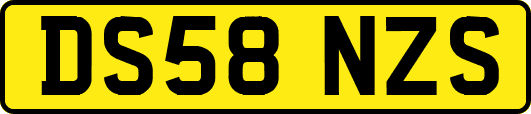 DS58NZS
