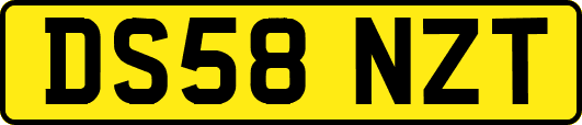 DS58NZT
