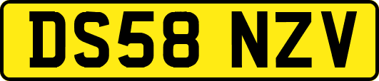 DS58NZV