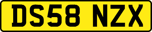 DS58NZX