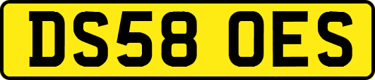 DS58OES