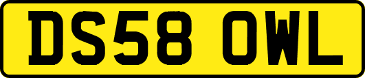 DS58OWL