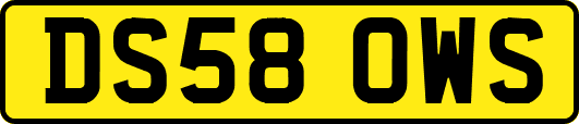 DS58OWS