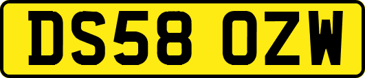 DS58OZW