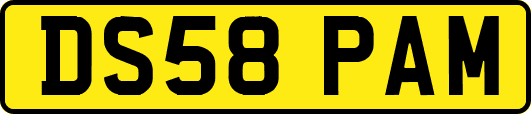 DS58PAM