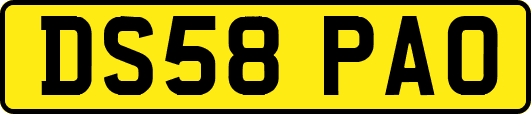 DS58PAO