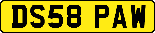 DS58PAW