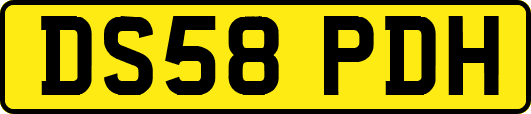 DS58PDH