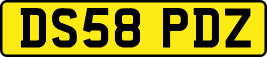 DS58PDZ