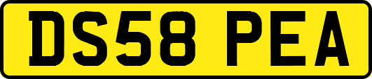 DS58PEA