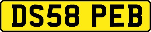 DS58PEB