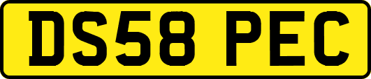 DS58PEC