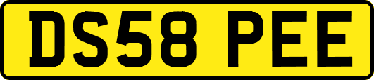 DS58PEE